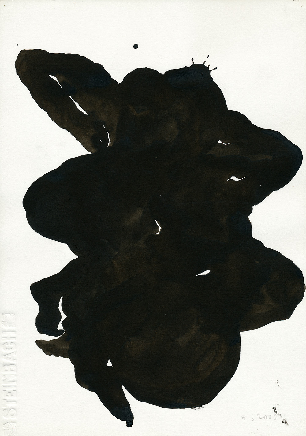 Brice Guilbert lorizon nwar 2012